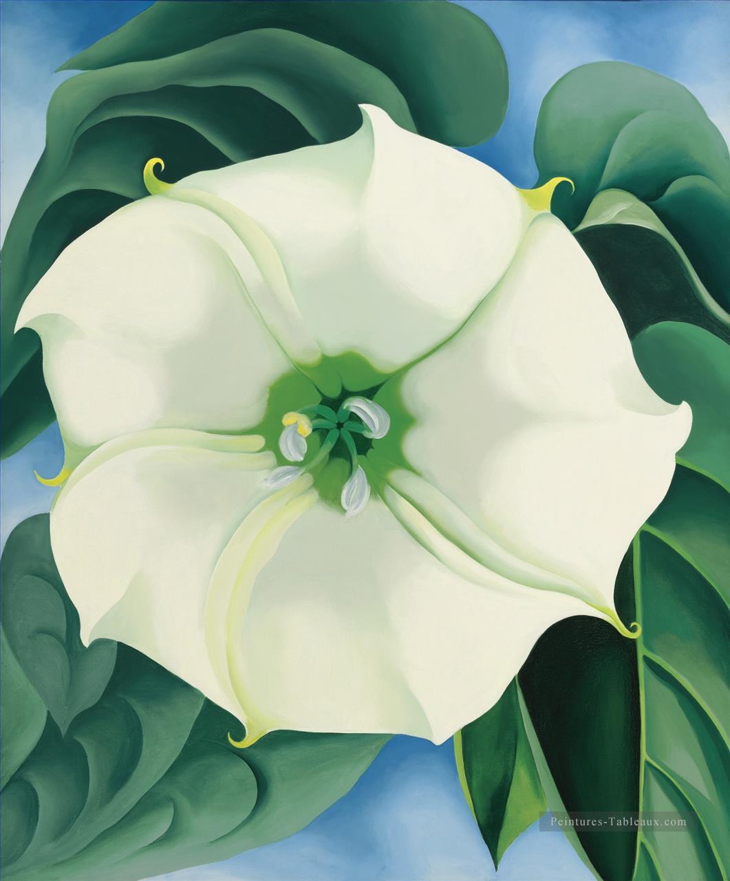 JIMSON WEED WHITE FLOWER NO 1 Georgia Okeeffe modernisme américain Precisionism Peintures à l'huile